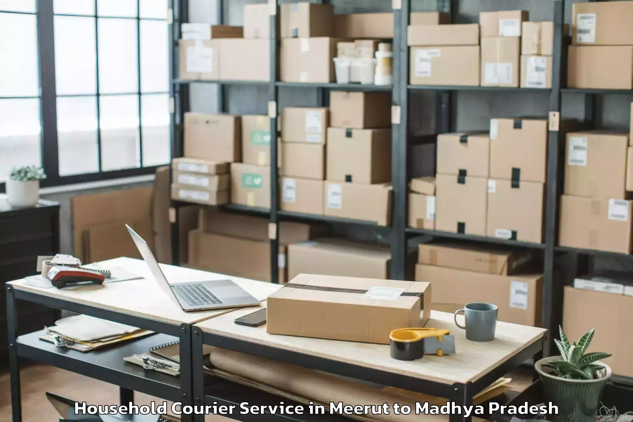 Top Meerut to Abhilashi University Rewa Household Courier Available